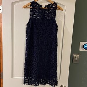 Navy Overlay  Lace Dress
